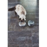 MiaCara Porculanska zdjela za hranu za ljubimce za mačke ø 14 cm Fresco Concrete S – | shoptok.hr