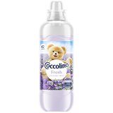 Coccolino koncentrirani omekšivač lavanda, 966 ml | shoptok.hr