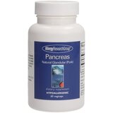 Allergy Research Group pancreas Pork - 60 kaps. Cene