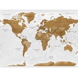  Foto tapeta - World Map: White Oceans 392x280 Samoljepljiva | shoptok.hr