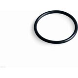 Intex O-obroč za predfilter | Shoptok.si