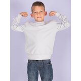 Fashion Hunters Light gray basic hooded sweatshirt for young people | Shoptok.si