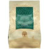 Essential Foods Hrana za pse Stamina Small Breeds, 3kg Cene