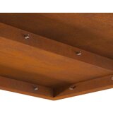 vidaXL Otporn čelik/Smeđa Corten čelik 60 x 60 x 30 cm Vanjski vatra | shoptok.hr