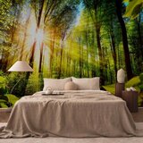  Foto tapeta - Forest Hideout 147x105 | shoptok.hr
