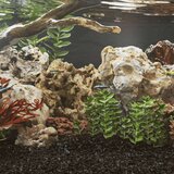  Zmajevo kamenje 25 kg smeđe 5 - 30 cm | shoptok.hr