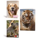 Rucksack Only Zvezek A4 Animals Cute, veliki karo 1 cm, 52 listov, sortirano Cene