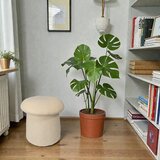  Tabure sa spremištem Moss bež 43,5 x 43,5 x 45,5 cm | shoptok.hr