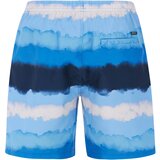  Men's beach shorts PRTHAMSEY | Shoptok.si