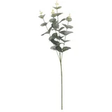 EUKALIPTUS 65CM