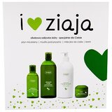Ziaja Natural Olive darilni set gel za prhanje 500 ml + losjon za telo 400 ml + dnevna nega za kožo 50 ml + micelarna voda 200 ml za ženske | Shoptok.si