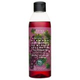 BARWA Šampon za kovrdžavu kosu Grožđe 300 ml | Eponuda.com