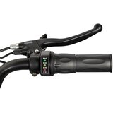 Nitro Motors Otroški 1000W 36V litijeva baterija Eco štirikolesnik Acanto Sport 6" rdeča | Shoptok.si