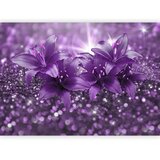  Foto tapeta - Masterpiece of Purple 490x350 | shoptok.hr