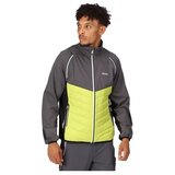 Regatta Jakne Softshelljacke Und Weste Steren pisana | Shoptok.si