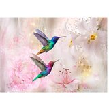  Samoljepljiva foto tapeta - Colourful Hummingbirds (Pink) 98x70 | shoptok.hr
