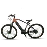 X-plorer E-bike MTB KILIMAJARO 29" R19.5 | ePonuda.com