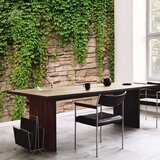  Foto tapeta - Ivy wall 150x105 | shoptok.hr