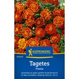 KIEPENKERL Žametnica "Fiesta" - 1 pkt. Cene