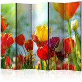  Paravan u 5 dijelova - Spring Tulips II [Room Dividers] 225x172 | shoptok.hr