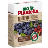 Bio plantella organsko gnojilo za borovnice bio plantella nutrivit (1 kg) Cene