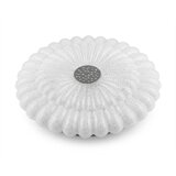  led plafonjera R-A63 (40cm) | Eponuda.com