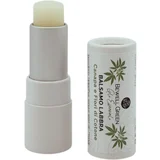 Gli Essential balzam za usne - 5 ml