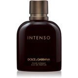 Dolce & Gabbana Pour Homme Intenso parfumska voda za moške 200 ml Cene