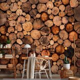  Foto tapeta - Wooden Gate 150x105 Standard | shoptok.hr