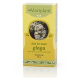  Mariplant List in cvet gloga, čaj | Shoptok.si