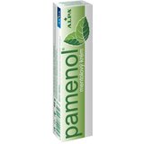 Alpa Pamenol krema z mentolom (40 g) Cene