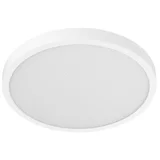 Smart Ceiling Light D30