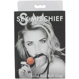 Sex and Mischief Gag S&amp;M Cene