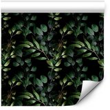 Tapeta - Green Precision 50x1000 | shoptok.hr