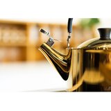 Vialli Design Kuhalo za vodu od nehrđajućeg čelika sjajno zlatno 1,5 l Diamante – | shoptok.hr