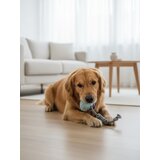 Sinsay Igračka za žvakanje za psa | shoptok.hr