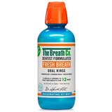 The Breath Co Vodica za usta Icy Mint - 500 ml | shoptok.hr