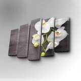 Wallity 5PUC-031 multicolor decorative canvas painting (5 pieces) | ePonuda.com