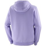 Salomon Canopy Hoodie duks | Eponuda.com