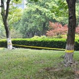 Uže za Balansiranje 15 m x 50 mm 150 kg Žuto | shoptok.hr