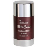 Sea of Spa Metro Sexual dezodorant za moške 75 ml Cene