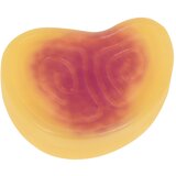 Interaktivna tava sa zvukom i svjetlom za djecu + rekviziti | shoptok.hr