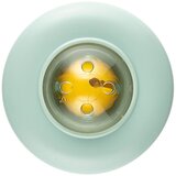 Canpol Sensory Rattle zvečka s grickalicom Green 1 kom | shoptok.hr