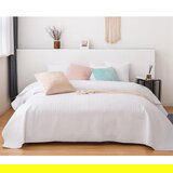 Edoti Quilted bedspread Moxie A544 | shoptok.hr