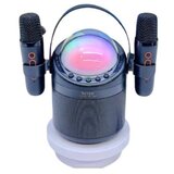INF Brezžični Bluetooth Karaoke Zvočniški Sistem z Dvojnim Mikrofonom in RGB Lučmi Black, (5000141436) | Shoptok.si