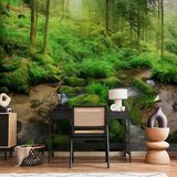  Foto tapeta - Humid Forest 200x140 Premium | shoptok.hr