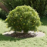  Pogodno za ravne drvene prstenove 5 pcs Srebrno Ø50 / 80 cm | shoptok.hr