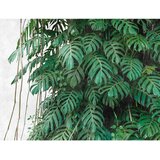 XXXL FOTOTAPETA Cene