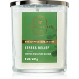 Bath & Body Works Eucalyptus Spearmint dišeča sveča Stress Relief 227 g