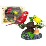  Pjevajući pokretni papagaji na grani | shoptok.hr